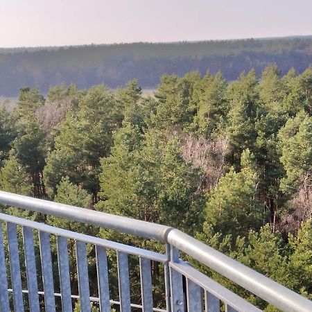 Waldhaus Hilde Villa Suderburg Kültér fotó